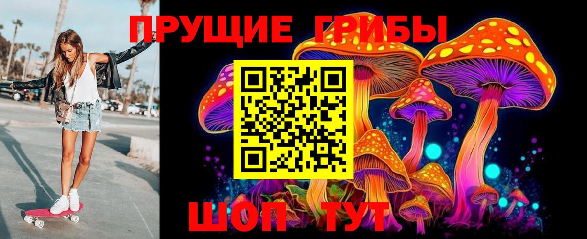 Псилоцибиновые грибы MAGIC MUSHROOMS  где купить   Соль-Илецк  Вход с VPN  Псилоцибиновые грибы Magic Shrooms 